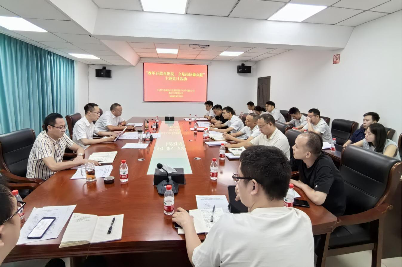 巴中兩山公司開展“改革開放再出發、立足崗位做貢獻”主題黨日活動