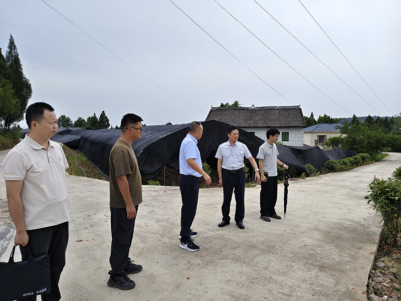 巴中發展集團開展安全生產暗訪督查